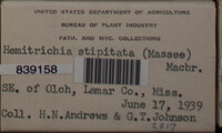 Image Associated With the Occurence